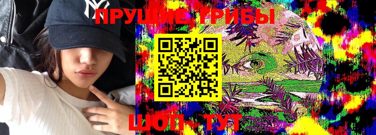 купить наркоту  Галлюциногенные грибы GOLDEN TEACHER  Вход с VPN  Коркино 